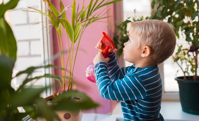 растения в детской